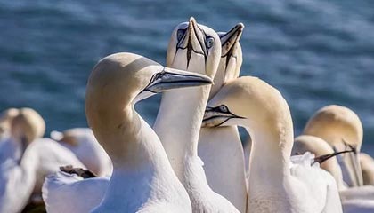 九游娱乐-绝地反击！强队逆转获胜续写冠军争夺历史，绝地反击上演惊天逆转