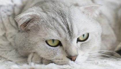 九游赛事-惊险一役！欧洲预选赛中发生了令人措手不及的情况，欧洲预选赛制